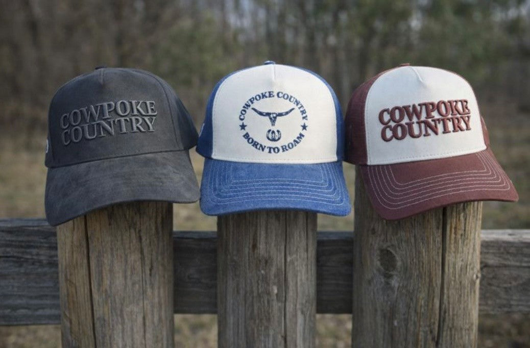 The Dust and Glory Range