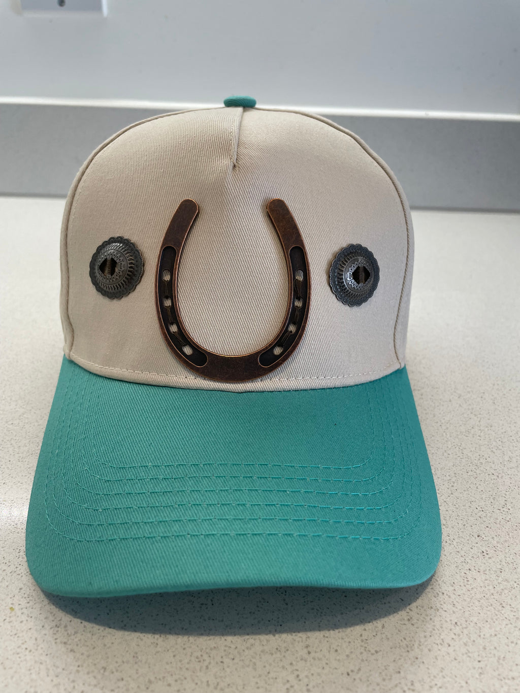 The Turquoise Roamer