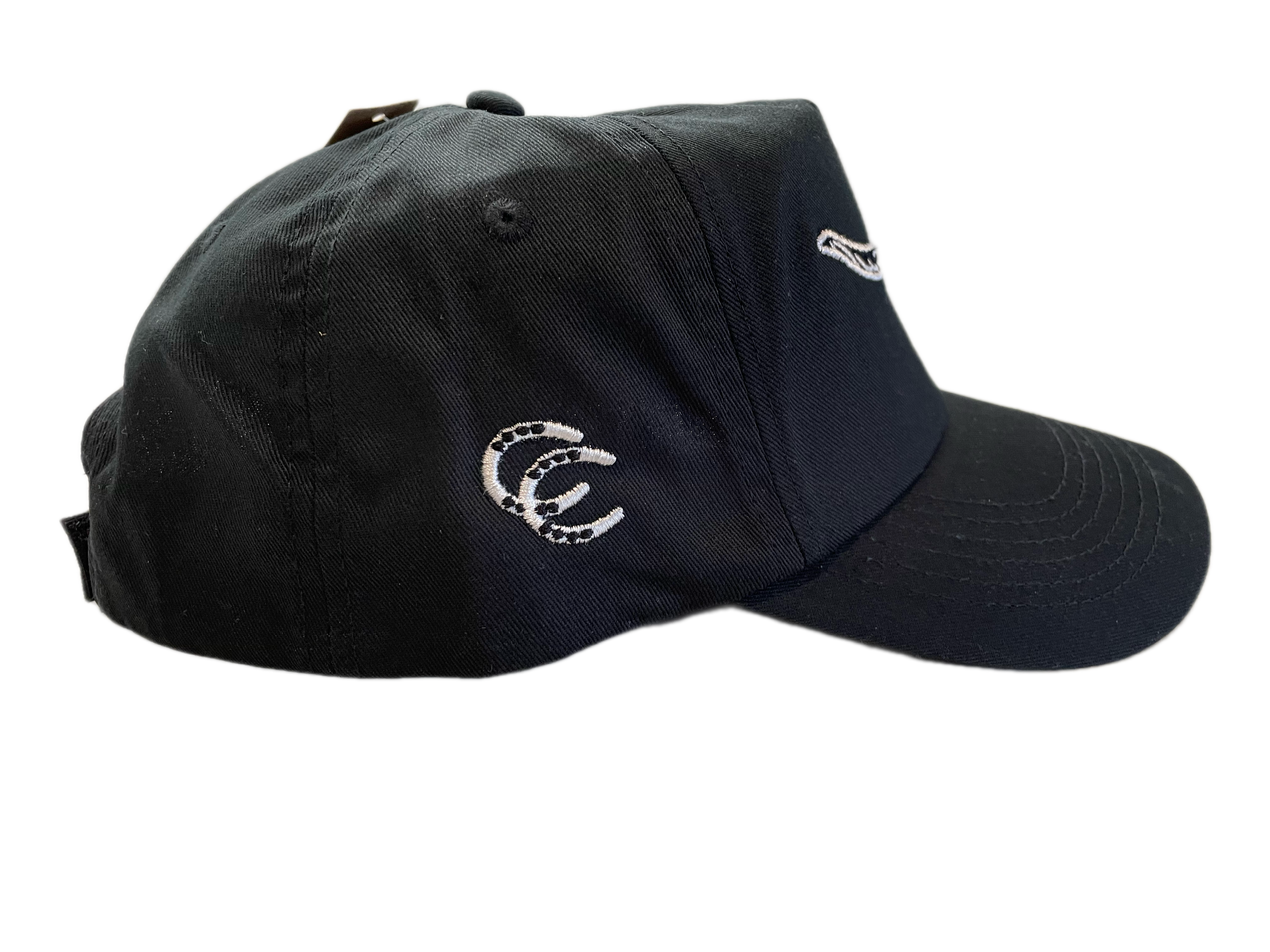 The Midnight Longhorn